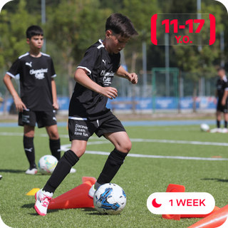 Professional Football Camp 🇬🇧